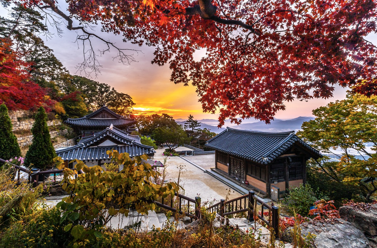 Jeonju Hanok Village: Where Tradition Meets Modern Charm