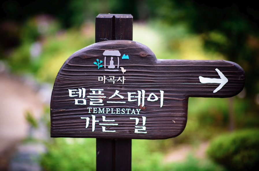 Templestay: Finding Inner Peace at Korean Buddhist Temples